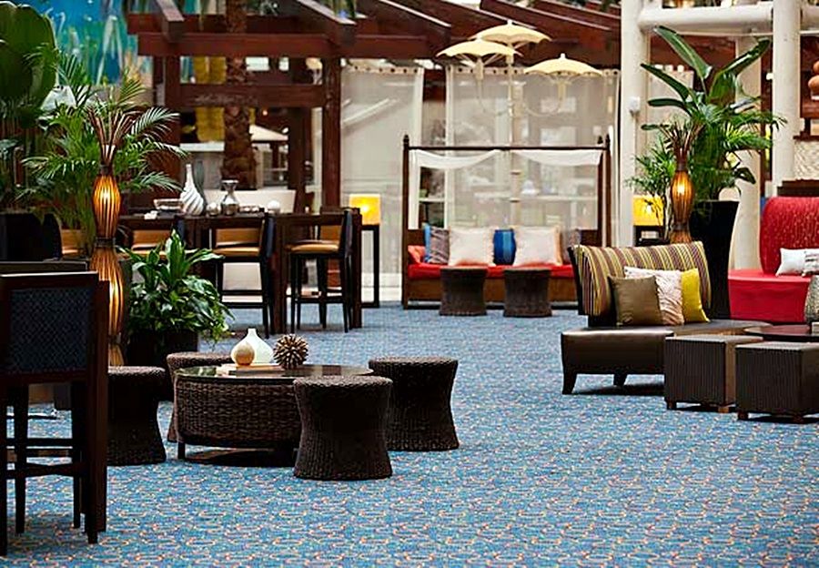 Springhill Suites By Marriott Orlando At Seaworld Williamsburg Exterior photo